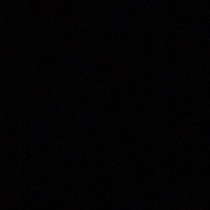 Meet your Posher, Kylie